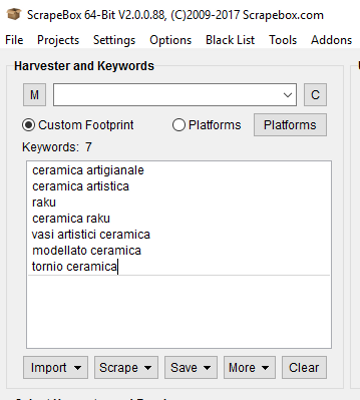 Immagine della sezione Keywords impostate con keywords per scraping
