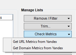 Immagine della sezione del Check Metrics di Yandex